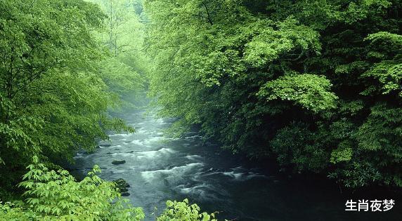 运势@6月中，运势上上签，贵人大力帮，3生肖事业欣欣向荣，生活美滋滋