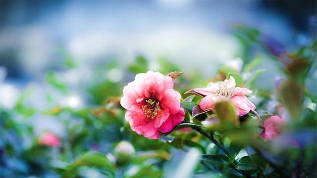 『星座女』“一辈子没人宠”的几星座女，再累再苦都自己扛，女强人的典型