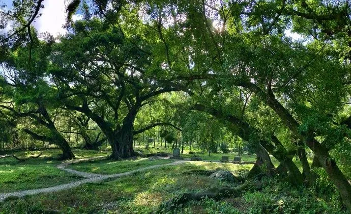 『旅行』适合五月出发的9个旅行地，第一个就心动