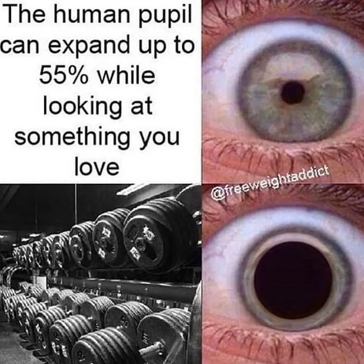 健身|一组最真实的健身画面，看看有多少个是真实的你！