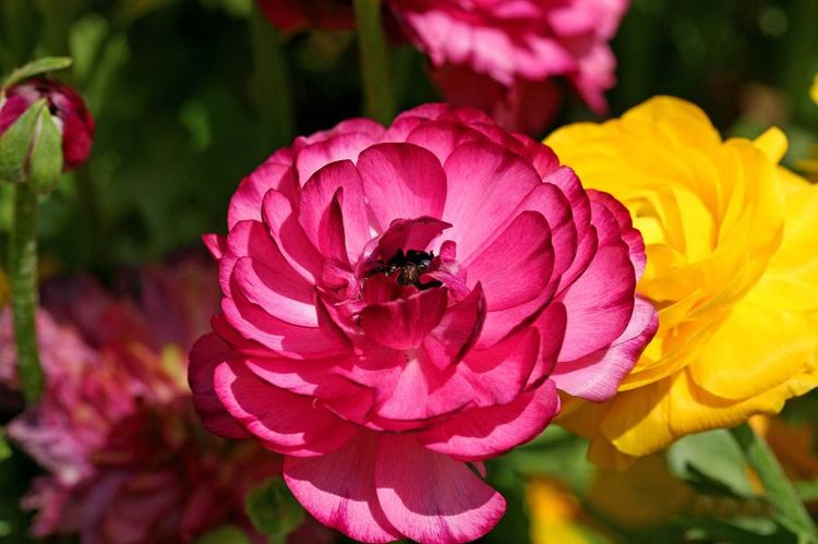 运势|9月1号运势飙升，真爱找上门，财神重点关照，财情同收的4大生肖