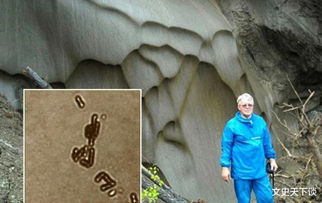 猛犸象|疯狂科学家为获永生，大胆注射350万年前猛犸象细菌，结果如何？