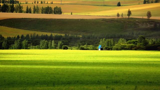 胡杨林|再过30天，全世界都要羡慕死中国了