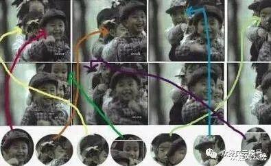 鹦鹉|34个全球至今无法解释之谜