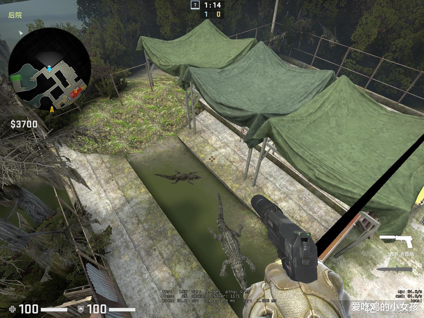 鳄鱼|CSGO:新图不愧“沼泽”名号,鳄鱼嘶吼吓死人,神秘收稿有来头?