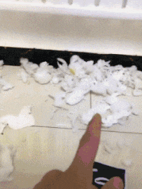 |河边捡到的一块石头，看着像极了化石，有人了解吗，要不要上交啊？