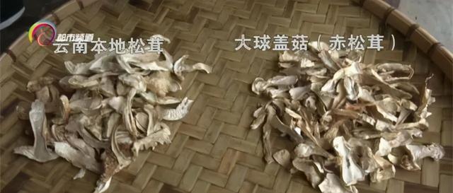 松茸|注意了！菜市场里卖的这种食材，很可能是假的...