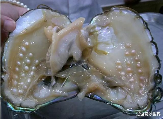 ：这些东西内部长啥样？25张照片揭示日常事物看不见的一面！