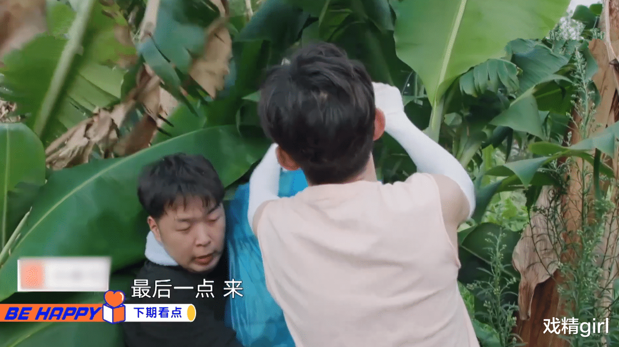 吴昕|谢娜没来，吴昕吵翻蘑菇屋：说何炅植过发，割破手碎碎念自己太笨