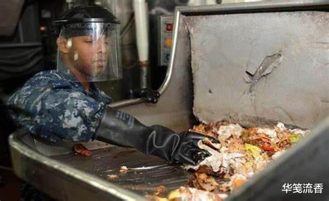 座头鲸■鲸背部被螺旋桨割成麻花,伤口深30cm,这有多疼!但它活下来了