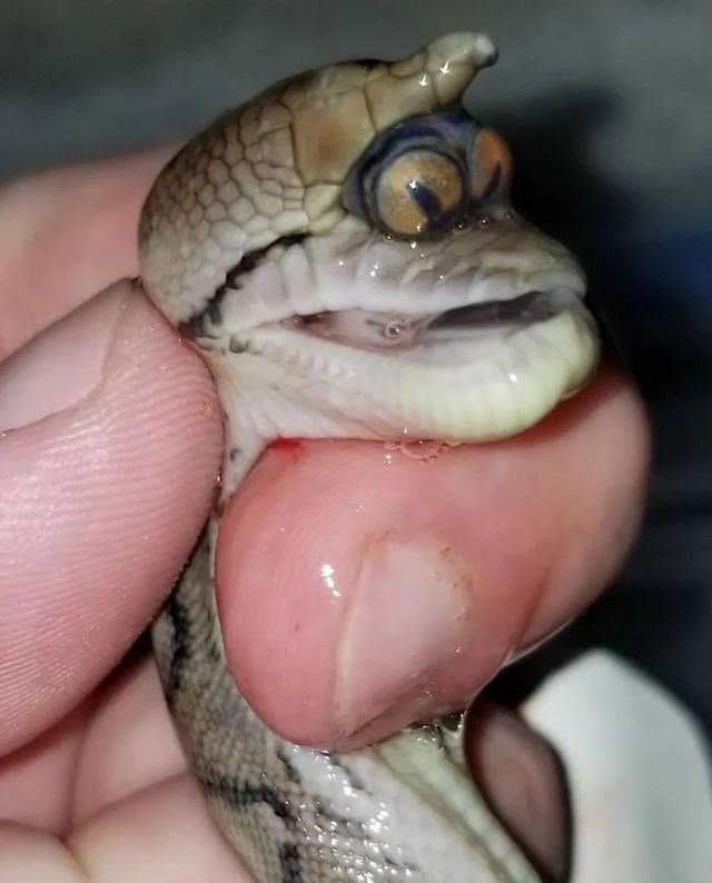 「」一组让你大开眼界的自然场景，最后那张图是不是骗到你了？