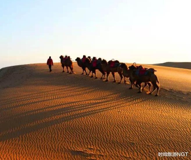 『珠穆朗玛峰』在沙漠中看到“石头”，为啥一定要捡起来？游客：我们不傻