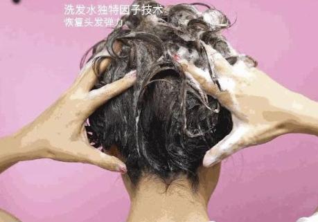 洗发水|被称为“国宝级”的洗发水，总因低价被忽略，戚薇：我都用8年了