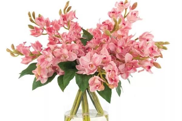 生肖|9月,财库大开,“钱”途一片光明,富贵挡也挡不住的4大生肖