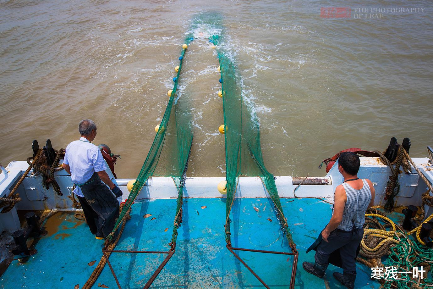 船员|4500元包船出海捕鱼，捞上来的海鲜烧了满满两大桌，你看看值吗？
