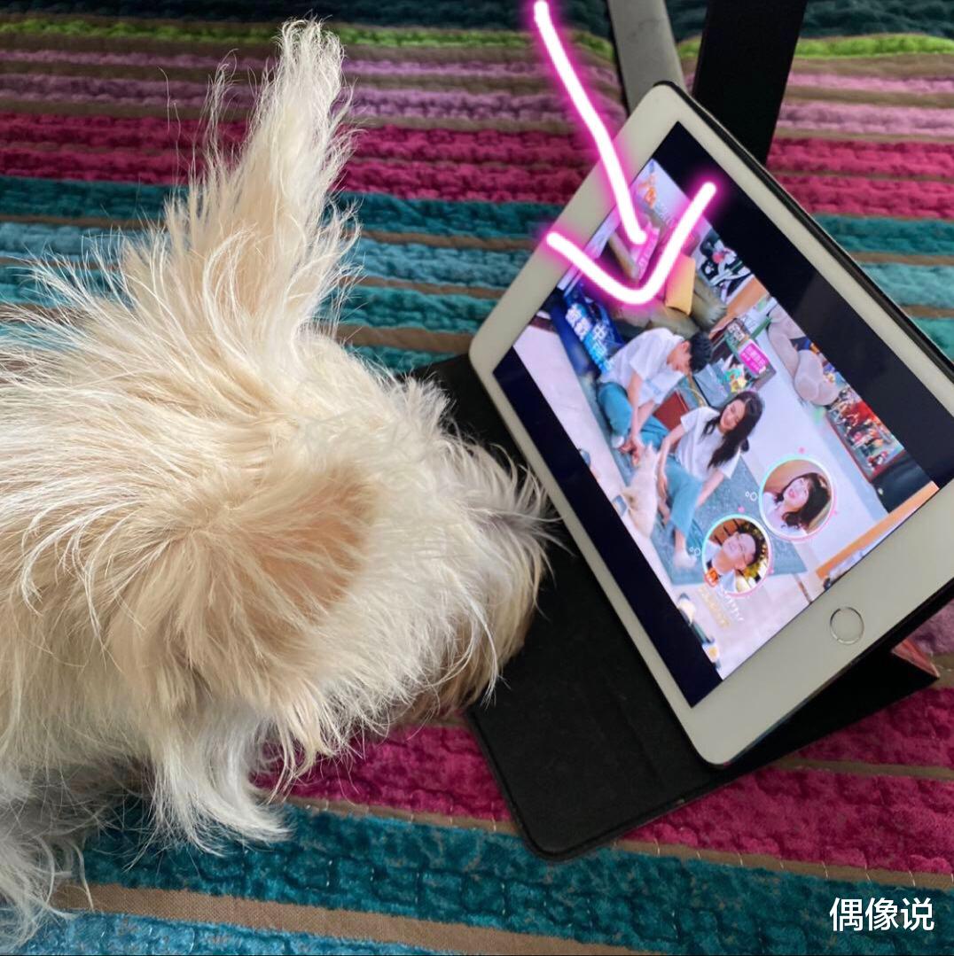 杨幂|张铭恩终于承认分手，并火速删除徐璐头像，一年前papi酱预言成真