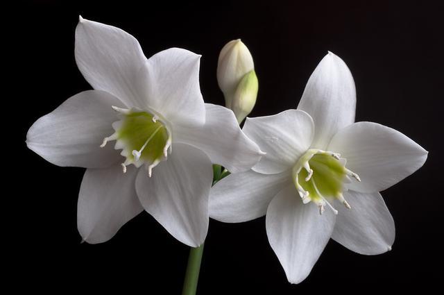 失眠|51岁大妈肝火旺盛,失眠严重,医生直言:1物常吃,沾枕安睡8小时