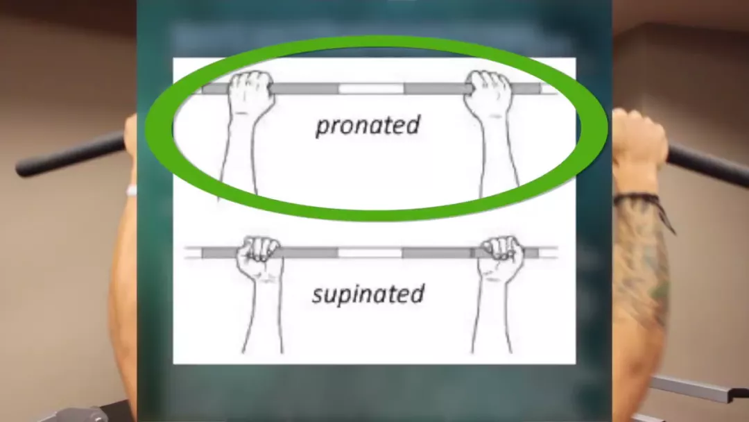 【】想要胸练大,先把背练好