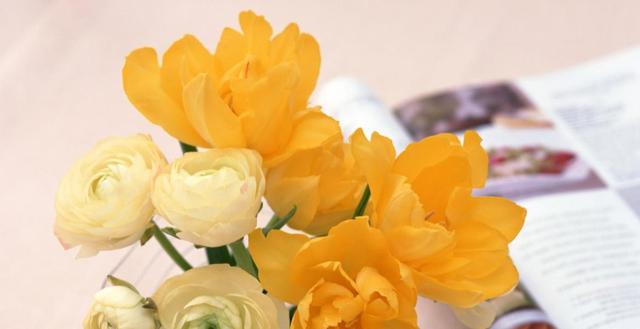 生肖|8月底，好运纷至沓来，穷人变富，3生肖事业一帆风顺，日进斗金