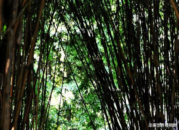 三星堆|三星堆是外星人在地球建的基站？真相揭秘后，地球人被夸了