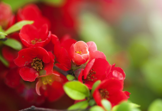 运势|未来15天，4属相运势逆袭，工作顺利，财源滚滚，家庭幸福美满