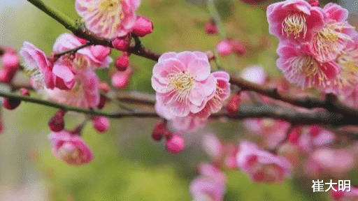 运势■下周起：大喜临门，4生肖大运不得了，下半年一声不响发大财