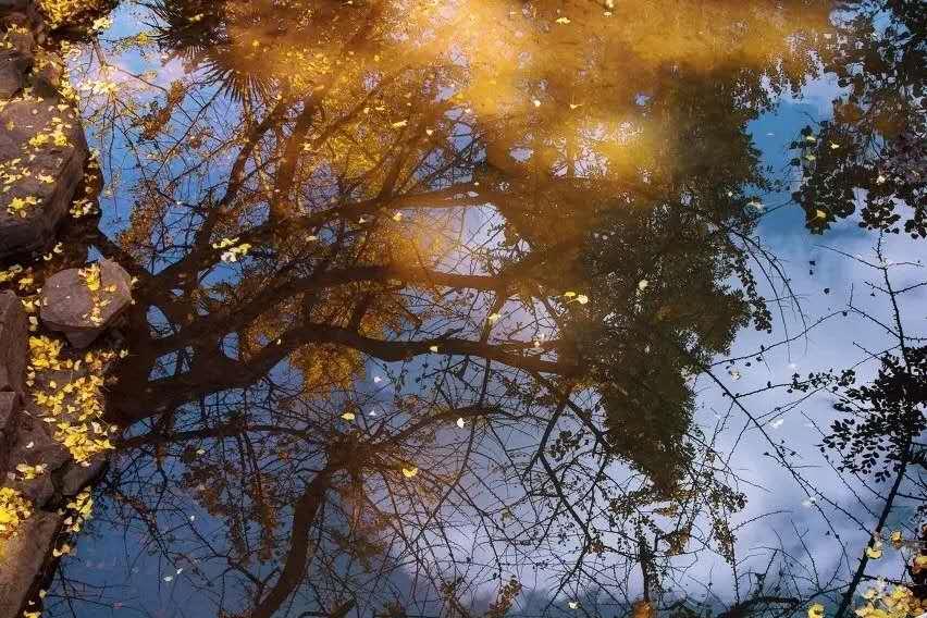 贵州旅游|贵州旅游|周边游，11月初的妥乐迎来最美时刻，现在赶紧出发！