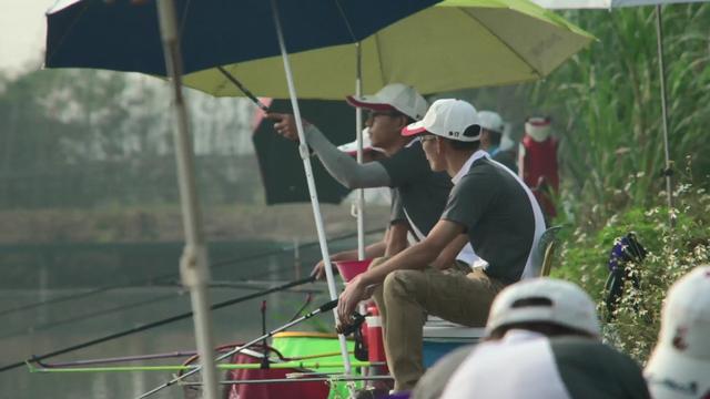 :看钓鱼大赛学钓鱼技巧!华山论剑,高手云集