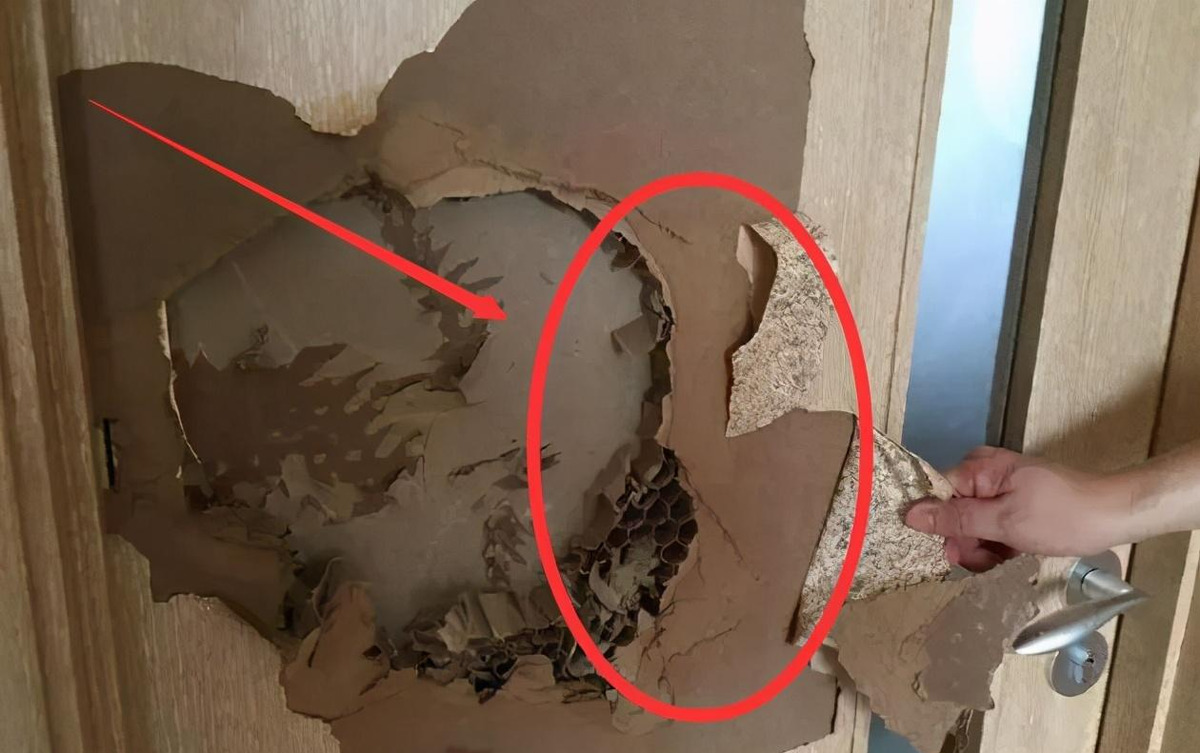 |木门里面为什么会有纸芯？花1分钟看看这个，买门再也不被坑