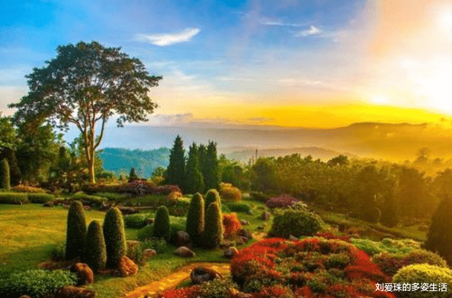 「」真正聪明的人，是永远不会在工作中说以下两种话的！早知早受益！