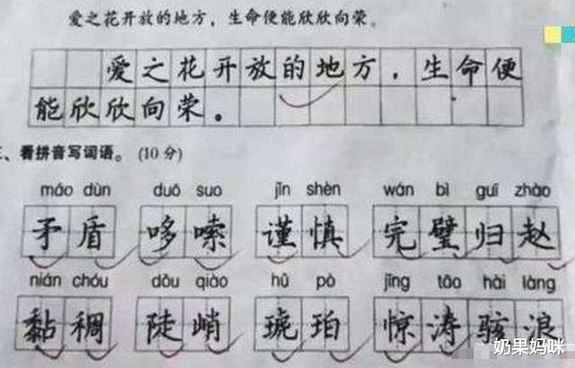 学霸|“神仙字体”走红网络，卷面整洁又易懂，阅卷老师：不舍得扣分