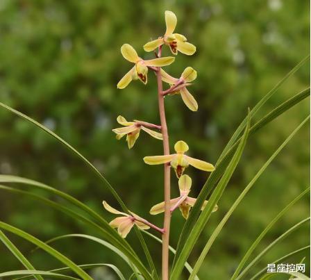 |哪3个月生的人,今年比去年更出色,事业飞龙登天,生意一战成名