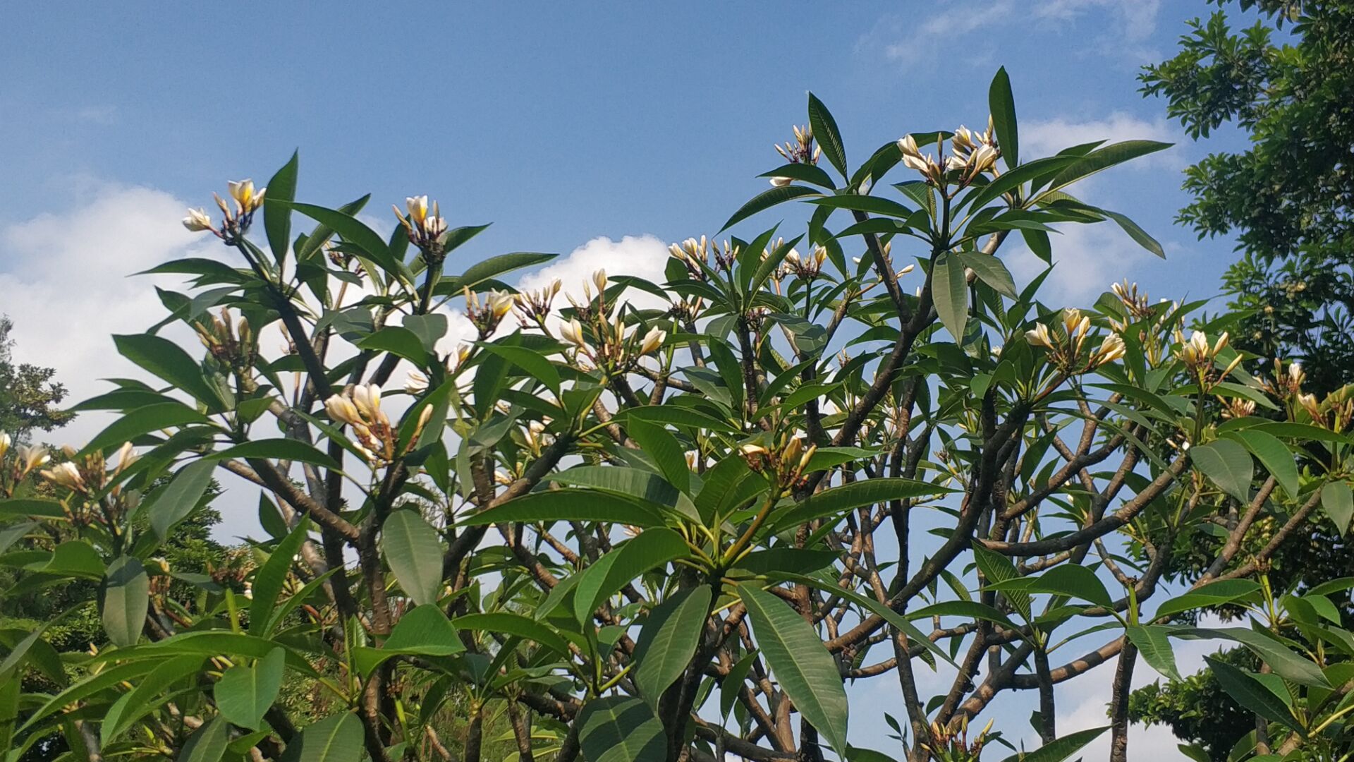 『荆州』佛山小众公园，五一小长假可以来这里，感受春的美丽