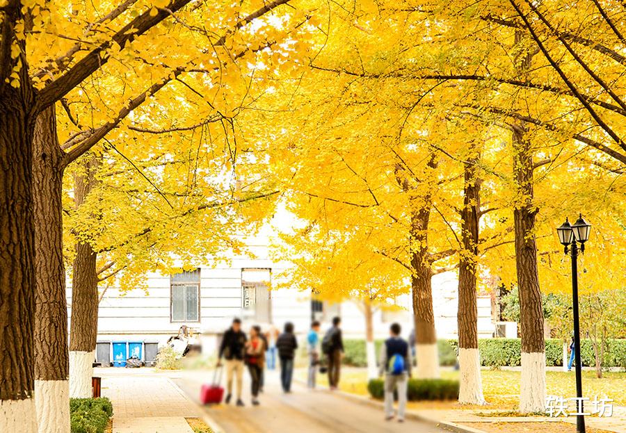 [高校]“非985”211高校三榜2020大学排名对比！谁强谁弱，一目了然