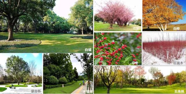 琼海:喜讯!沈阳这条大街试通车了