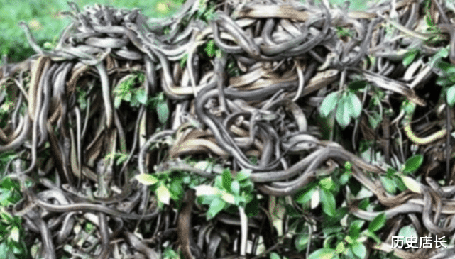 ：世界上的六大禁地，禁止人类出入，你永远无法到达的地方