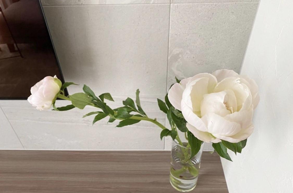 【】越简单越精致!日式温馨小家,全屋干净到令人心动,美得恰到好处