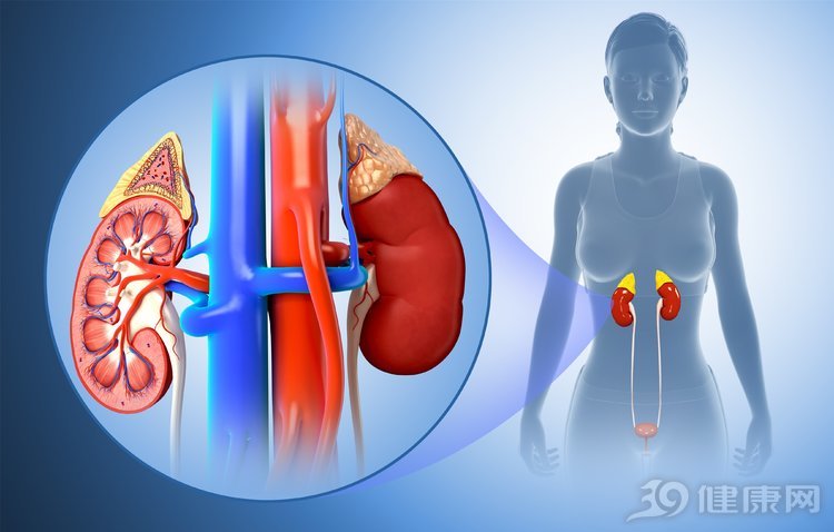 『补肾』医生坦言:男性如果能做到这5点,就不再需要补肾壮阳药
