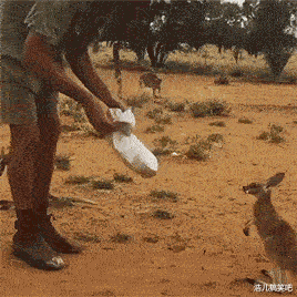女孩|难道是我太保守？姑娘你穿这样就出来！太放得开了吧？哈哈哈