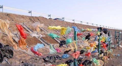 纤维素|中国科学家攻破世界难题，该技术将改变全球污染现状，造福全人类