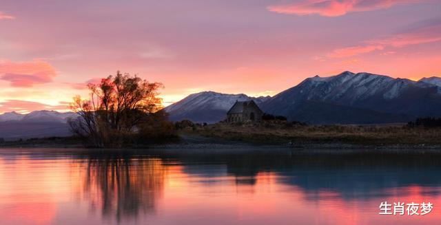 生肖|踏入11月，月老眷顾，前任回头，3生肖收获良缘，幸福甜蜜，眉开眼笑