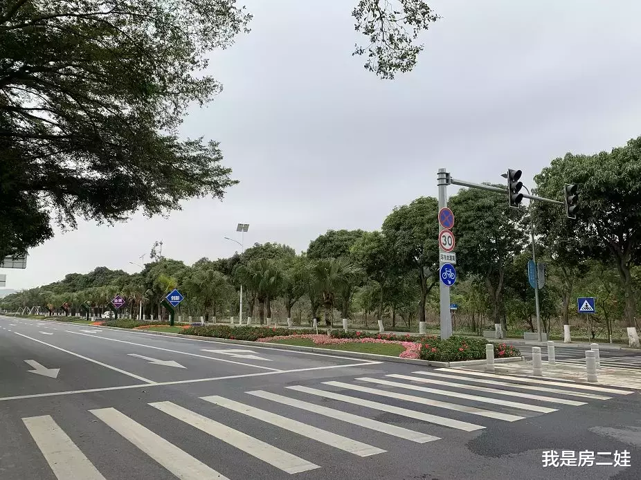 去了一趟南沙，我有几句话想对买房人说......