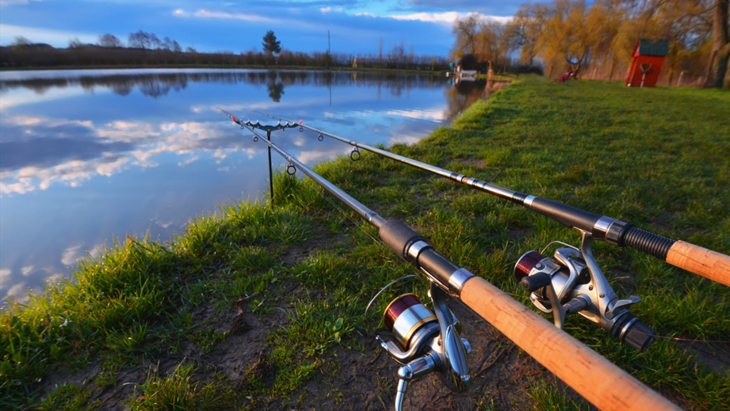 |渔具市场排行前三，最受钓友喜爱的三款鱼竿，你更喜欢哪一种？