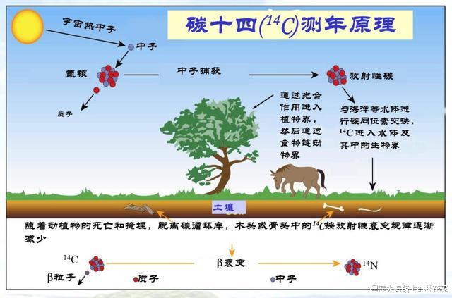 科学家|辉煌的玛雅文明为何突然灭绝？科学家终于找到答案！却忽略一关键