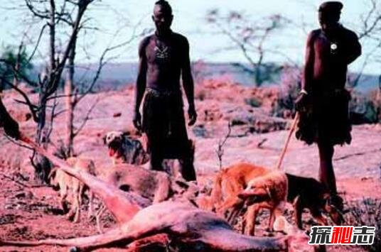 原住民|细思极恐,人类除掉了地球的原住民