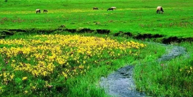 「自驾」强烈安利！国内14个能玩花样的小众旅行目的地，自驾1h起就能抵达