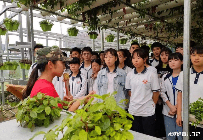 大学|被家长“嫌弃”的3个大学专业，薪资待遇超好，毕业几乎等于就业