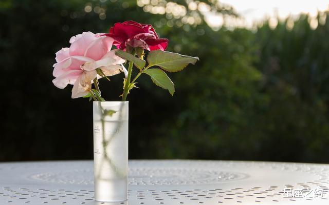 「射手女」在6月份，喜上眉梢，称心如意，收获美好的三大星座