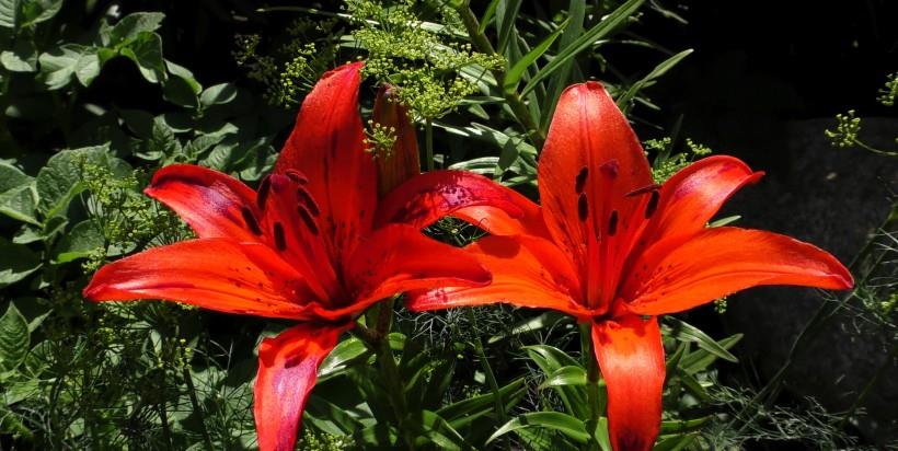 射手座|10月下旬，天赐桃花运来袭，爱情躲不过，爱情已接招的四大星座