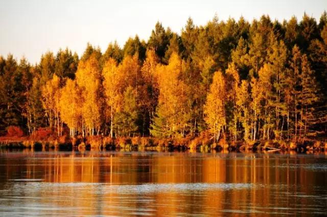 阿尔山▲中国北方\藏着\一个“瑞士”，去一次相当于环游一次欧洲！